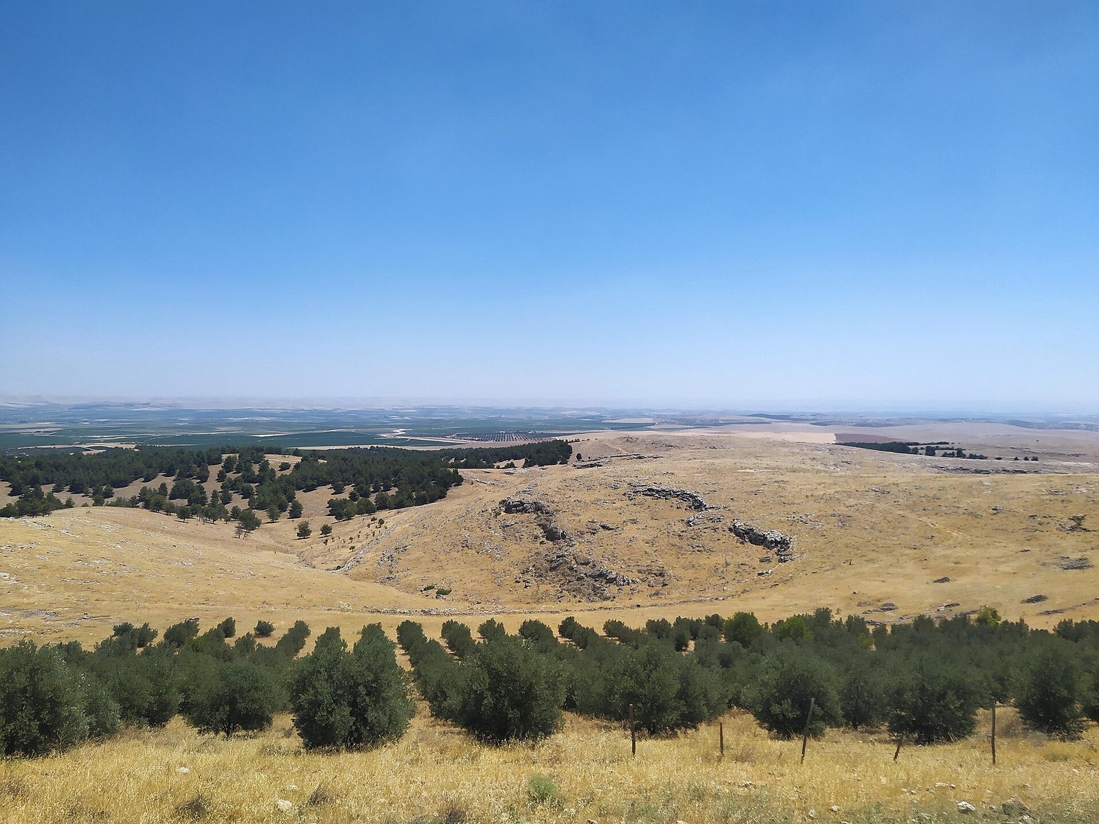 The rolling Şanlıurfa landscape of the Taş Tepeler region — dry hills and olive groves under a wide sky